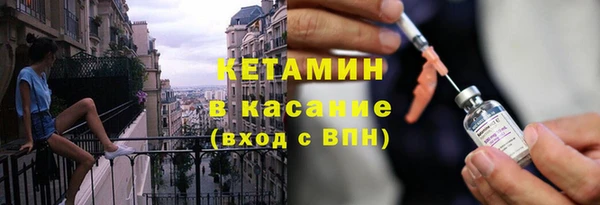 гашик Алексин