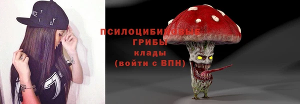 эйфоретик Алзамай