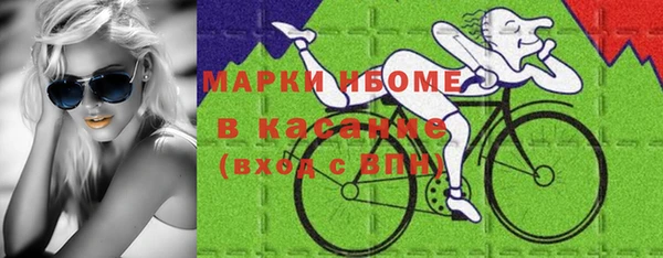гашик Алексин