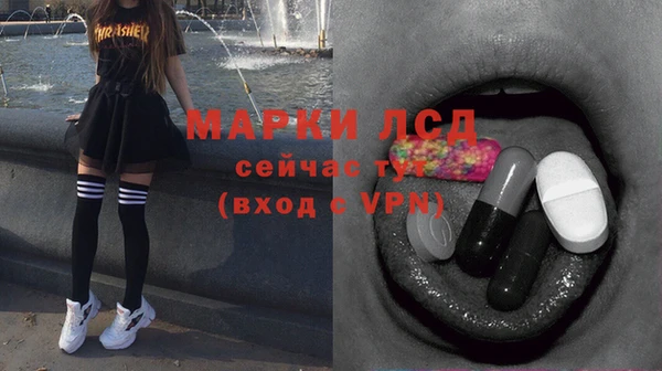 эйфоретик Алзамай